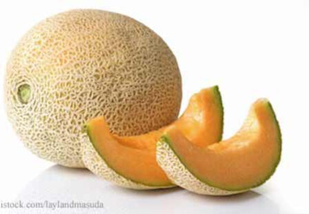 Cantaloupe Salmonella