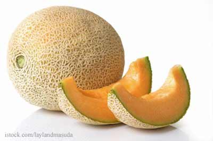 Cantaloupe Salmonella