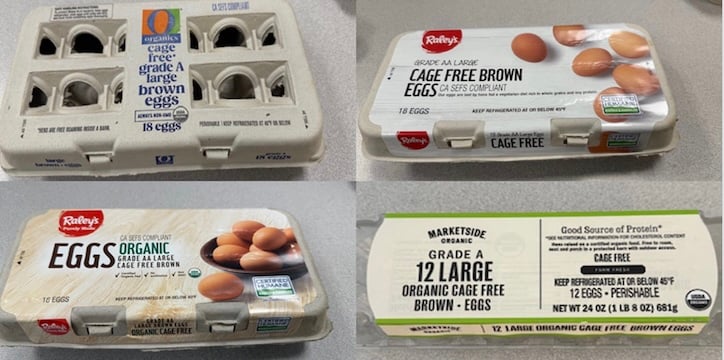 Organic Egg Salmonela Recall