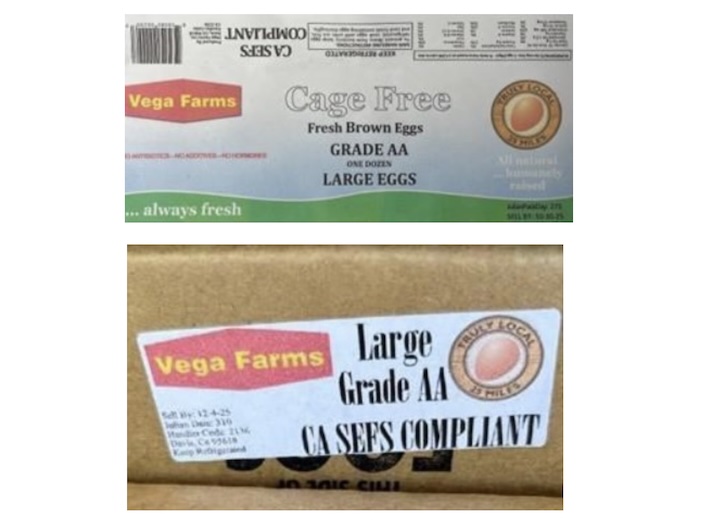 Vega Farns Eggs Salmonella