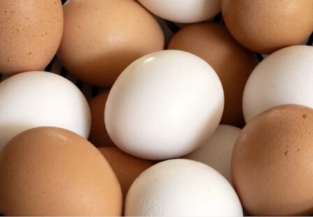 CDC image of white and brown eggs