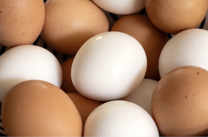CDC image of white and brown eggs