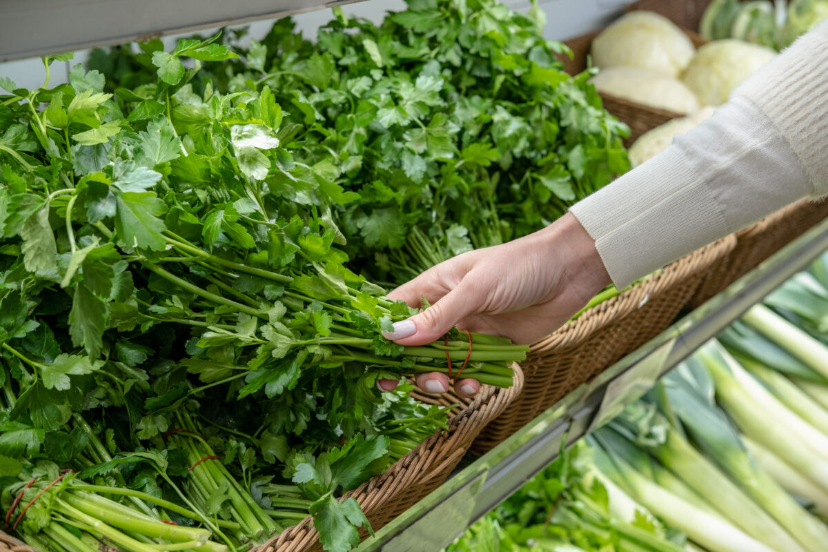 A woman takes a bunch of fresh green parsley and cilantro from the supermarket